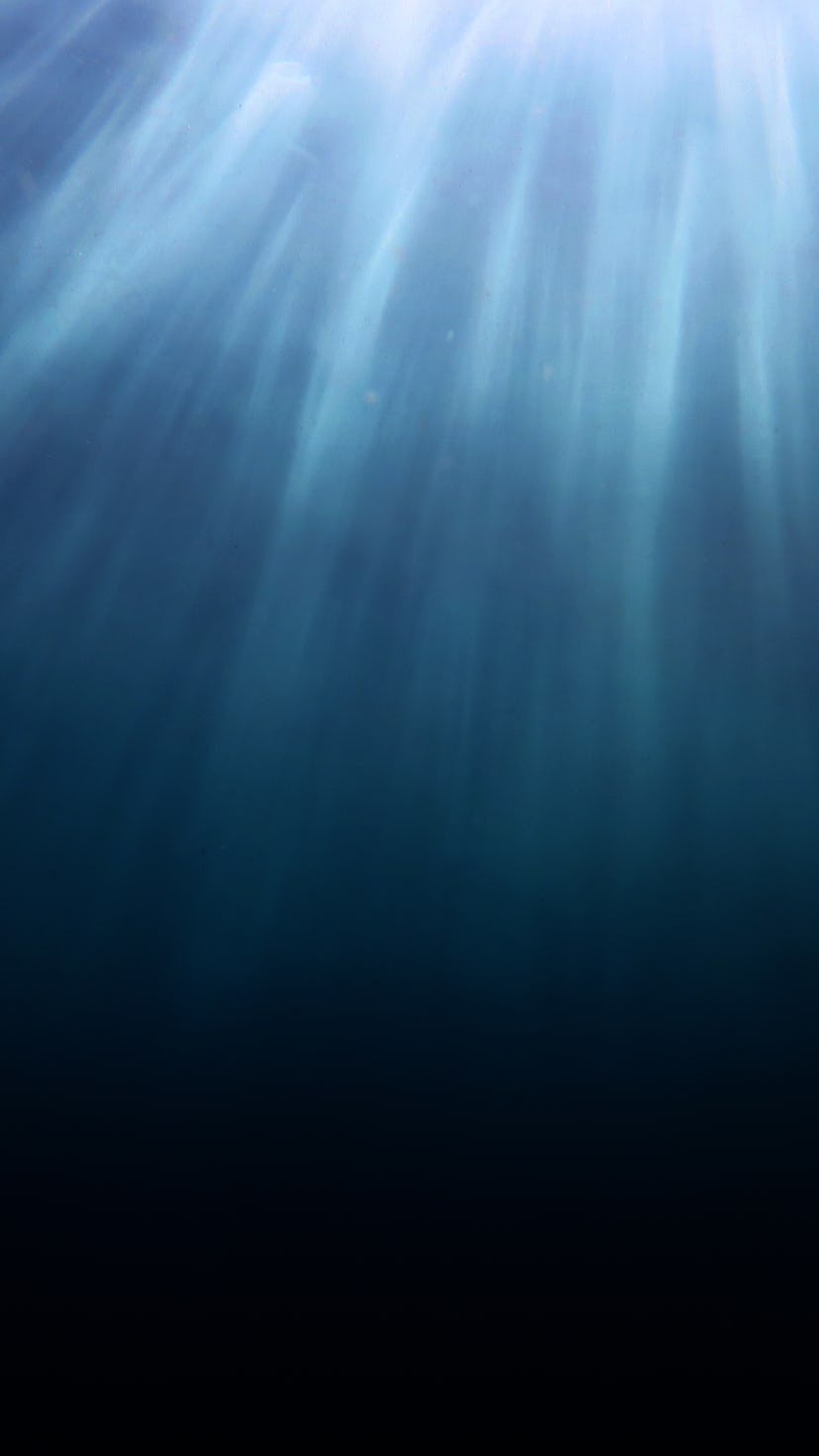 Aqua Menthe underwater surface sunlight shot sunlight shafts reaching to dark depths