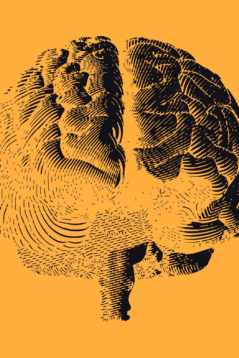 Black brain engraving drawing front view isolated on yellow orange background
