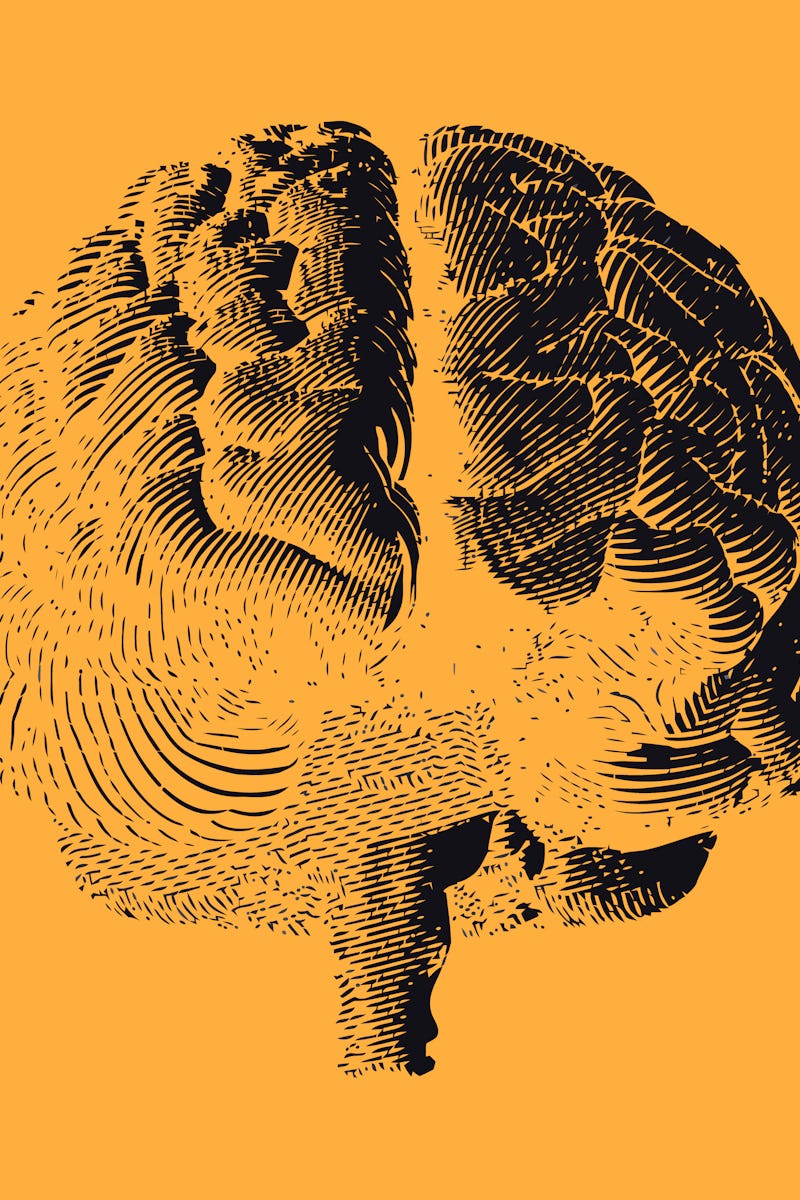 Black brain engraving drawing front view isolated on yellow orange background