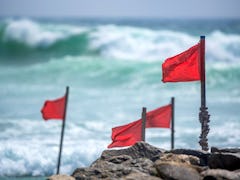 Red warning flag on beach