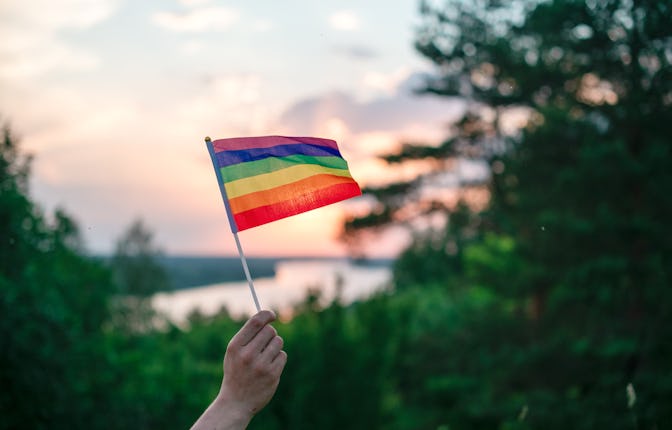 A hand waves a colorful gay pride LGBT rainbow flag at sunset on a natural landscape in summer