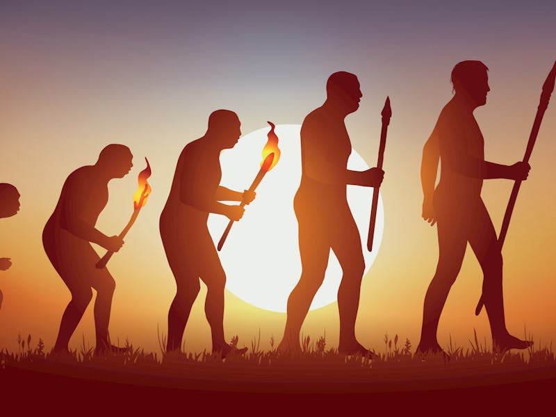 Concept of Darwin’s theory of evolution, illustrated with the transformation of the human silhouette...