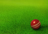 cricket ball resting on green grass pitch, cricket ground, ipl, twenty twenty , cricket world cup