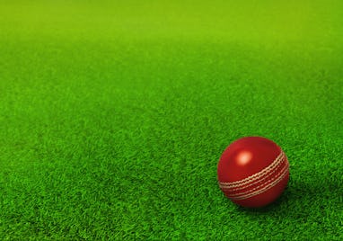 cricket ball resting on green grass pitch, cricket ground, ipl, twenty twenty , cricket world cup
