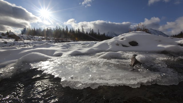 Ice, snow and water at freezing Quill Creek, St. Elias Mountains, Kluane Range behind, Kluane Nation...