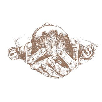 child's head in the hands of an adult, top view, the back of the newborn's head, doctor, obstetricia...
