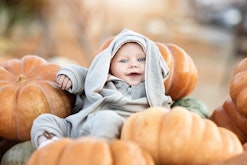 Cute little baby boy in a Bunny costume among a crop of pumpkins.