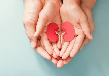 Adult and child holding kidney shaped paper, world kidney day, National Organ Donor Day, charity don...