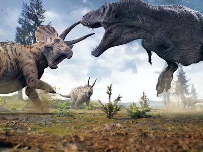 3D rendering of Tyrannosaurus Rex facing off against a Triceratops herd in Hell Creek about 67 milli...