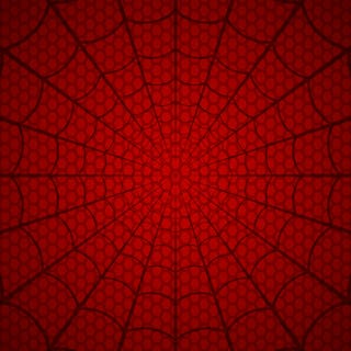 Spider web. Cobweb on Red background. Vector illustration