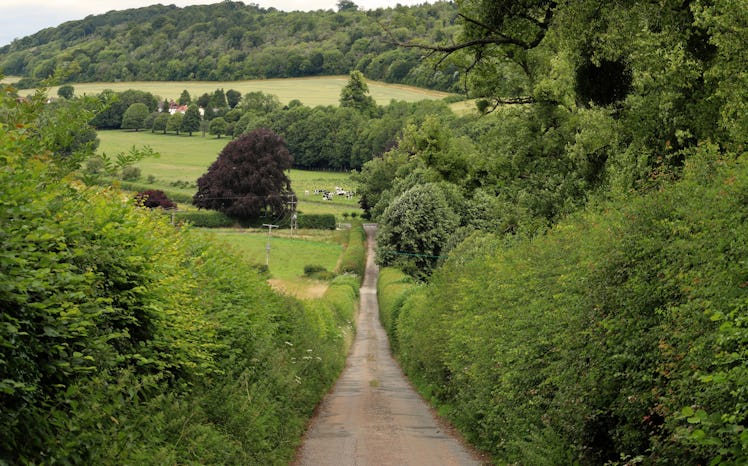 An English Rural Landscape in the Chiltern Hills with lane between tall hedgerows