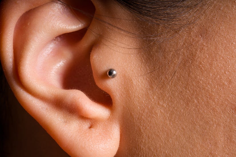 The pain factor of a snug piercing is about the same as a tragus piercing.