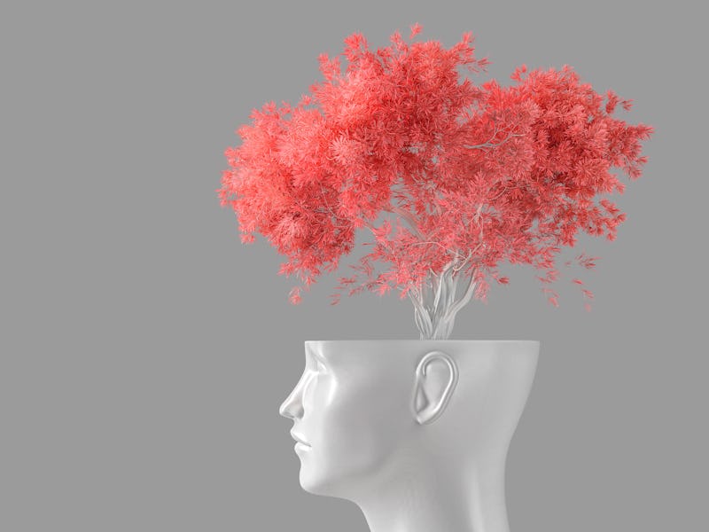 The concept of self-knowledge, meditation and personal growth. The white head of a woman in the form...