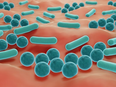 Bacteria on skin surface, Skin microbiome 3d illustration