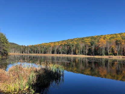 Great Barrington, Massachusetts.