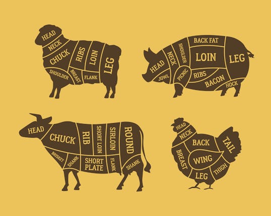 Butcher's meat chart, diagram set. Cuts of Meat. Lamb, Pork, Beef, Chicken meat. Barbecue poster des...
