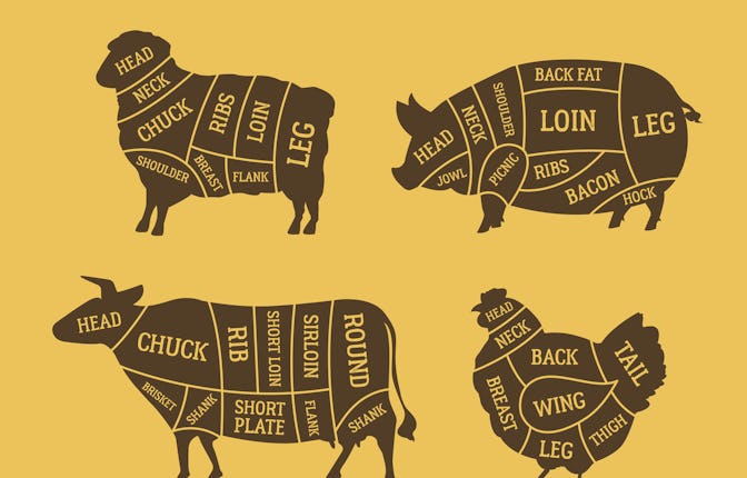 Butcher's meat chart, diagram set. Cuts of Meat. Lamb, Pork, Beef, Chicken meat. Barbecue poster des...