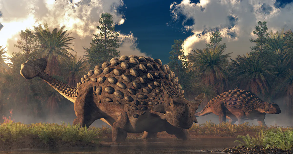 Fósil de 165 millones de años revela un nuevo dinosaurio con un escudo adherido a sus huesos Fósil de 165 millones de años revela un nuevo dinosaurio con un escudo adherido a sus huesos
