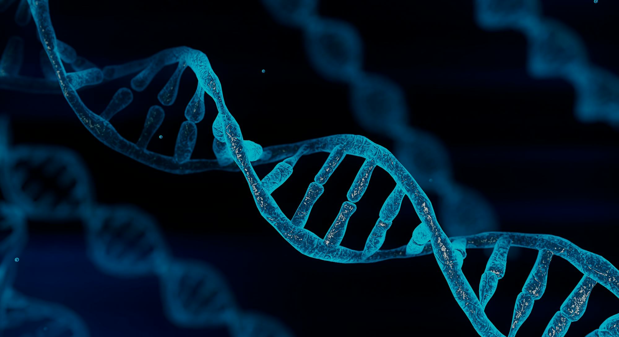 Blue chromosome DNA and gradually glowing flicker light matter chemical when camera moving closeup. ...