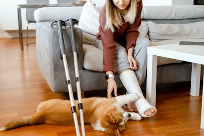 Dogs mimic their owners' injuries.