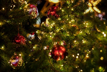 christmas trees background