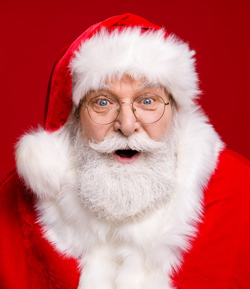 portrait of a happy Santa Claus