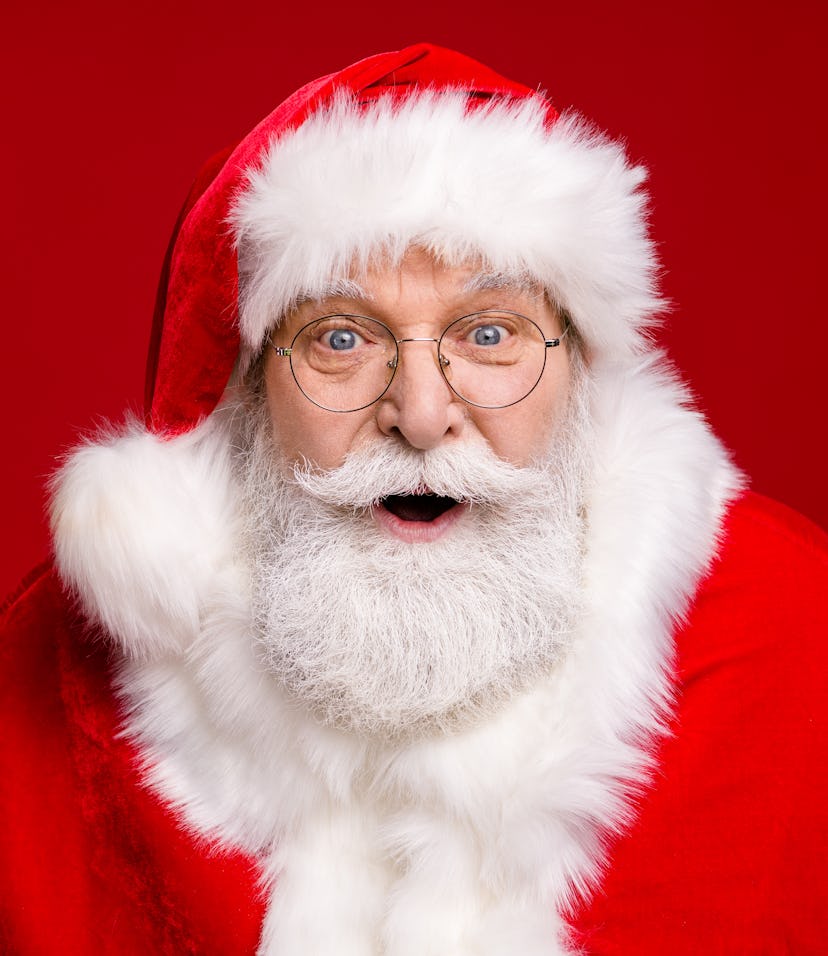 portrait of a happy Santa Claus 