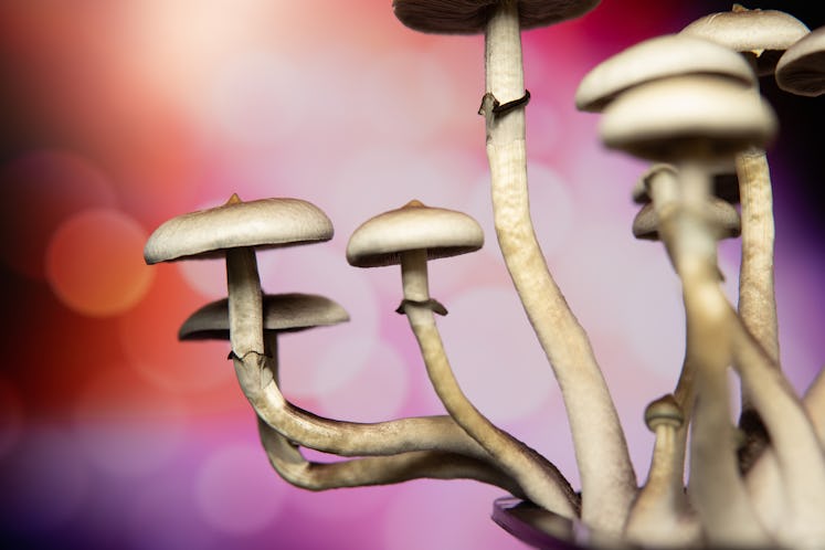 Under the Oregon law, all adults would be able to consume psilocybin, for any reason.