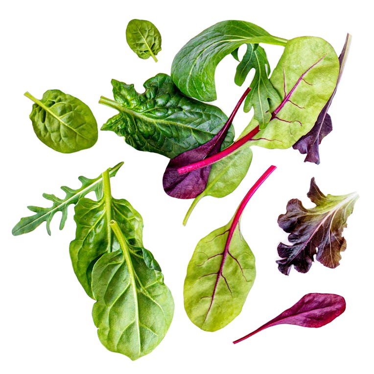 Flying Salad Leaves isolated on white background. Assortment of Green salad with arugula, lettuce, ...