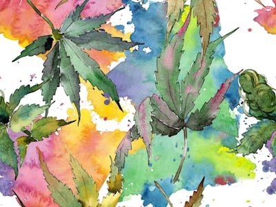 Cannabis leaves pattern in a watercolor style. Aquarelle wild flower for background, texture, wrappe...