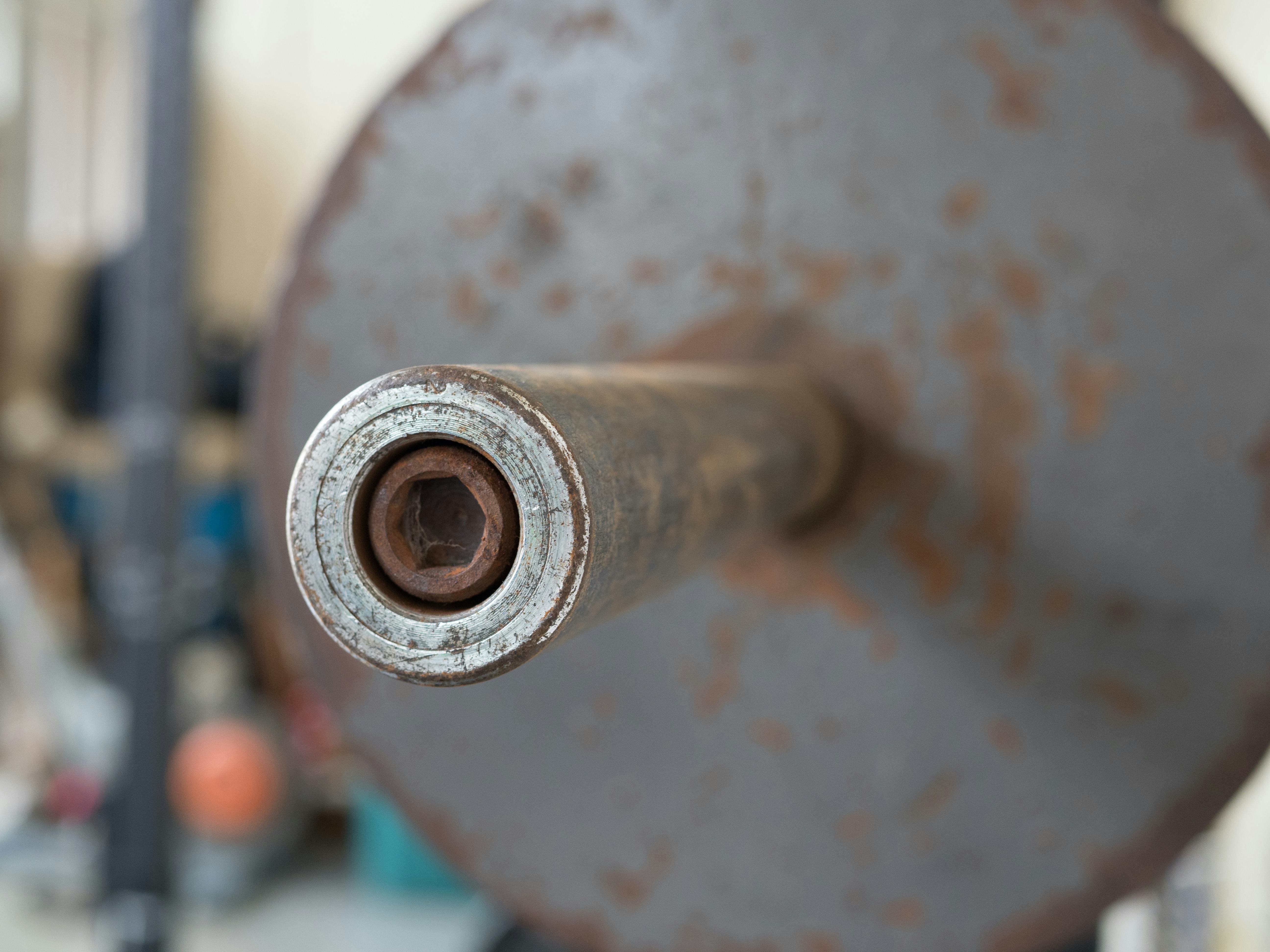 What are good weight lifting benchmarks? The science of milestones