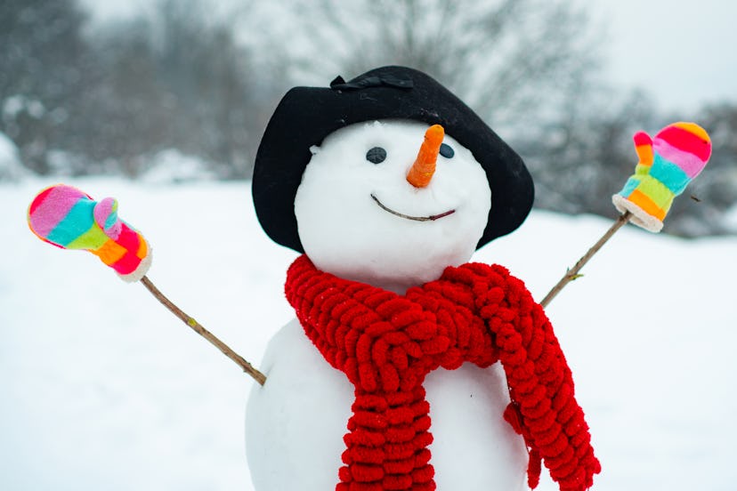 Funny snowman in stylish hat and scarf on snowy field. The morning before Christmas. Funny snowmen. ...