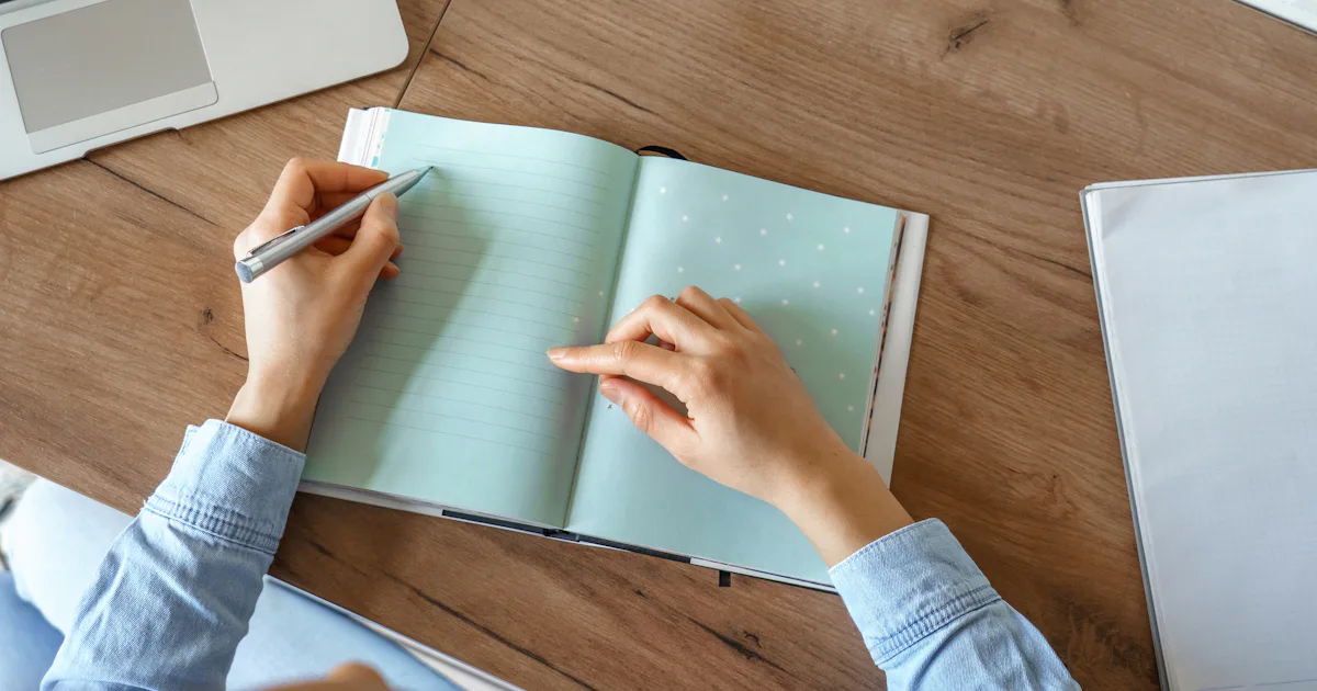 Normal Diaries The 12 Best Diaries