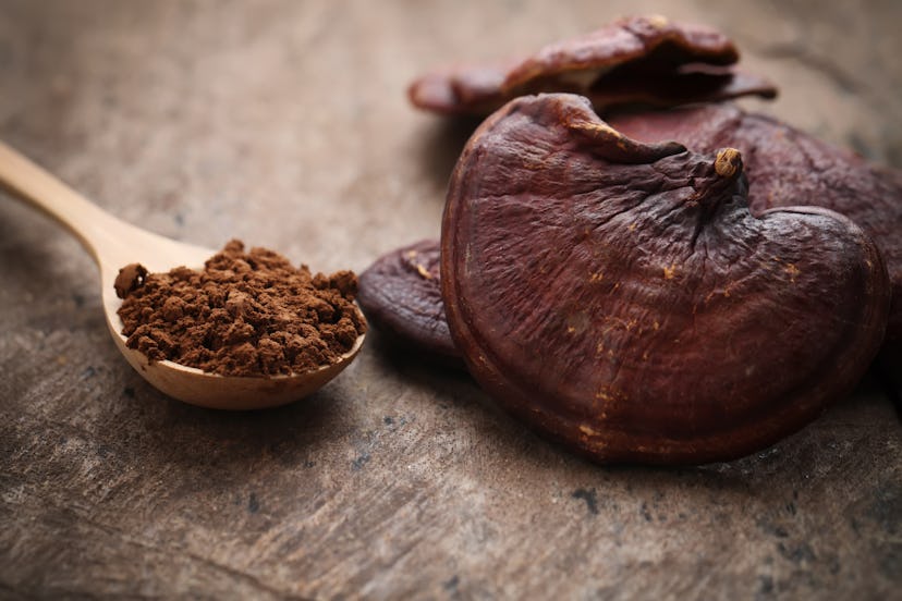 Ganoderma Lucidum Mushroom on wooden background,Ling Zhi Mushroom.