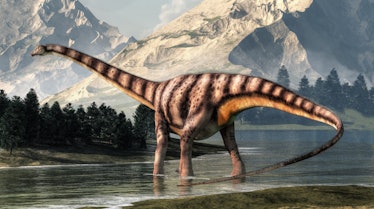 diplodocus in front of mountains illustration