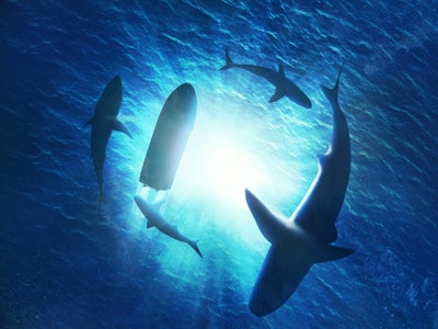 Illustration of sharks forming a circle under a boat in water
