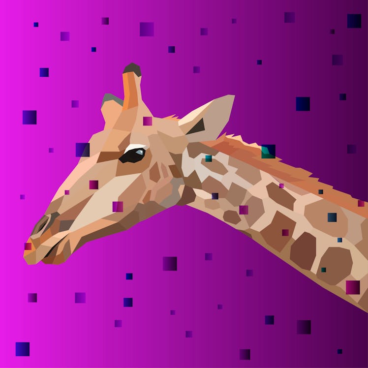 Colorful vector giraffe. Abstract stylish vector.