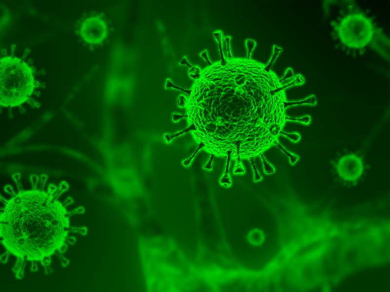 COVID-19 SARS,Coronaviridae , SARS-CoV, SARSCoV, virus 2020 , MERS-CoV ,chinese virus 2019-nCoV