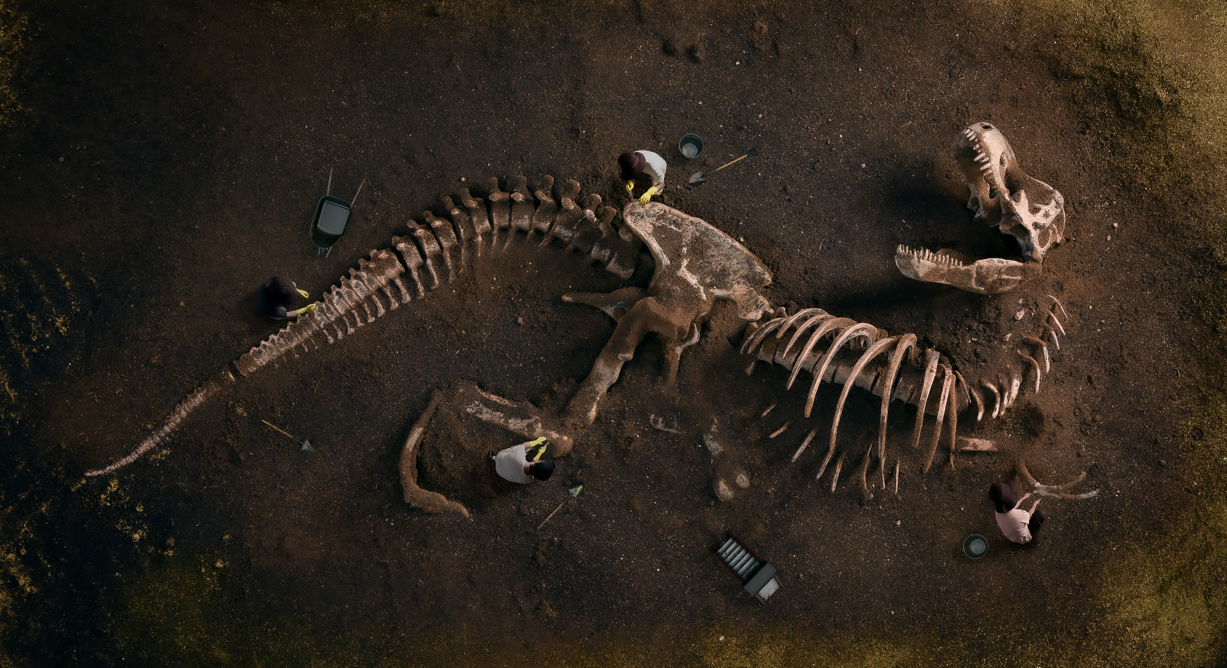 Ancient Secrets Revealed: History Facts.Netlify - 7ky7cog