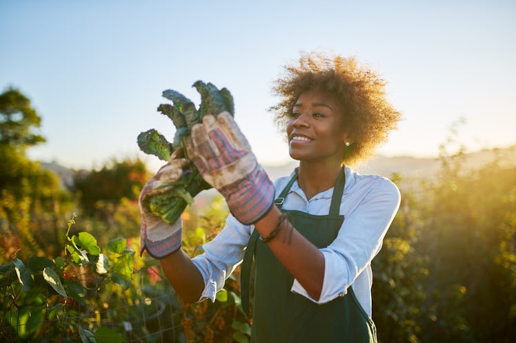young african american woman inpsecting beets just pulled from the dirt in community urban garden