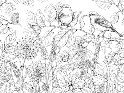 Hand drawn floral elements. Black and white flowers, plants, butterflies and two sitting songbirds o...