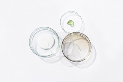 Petri dishes with cosmetic on white background