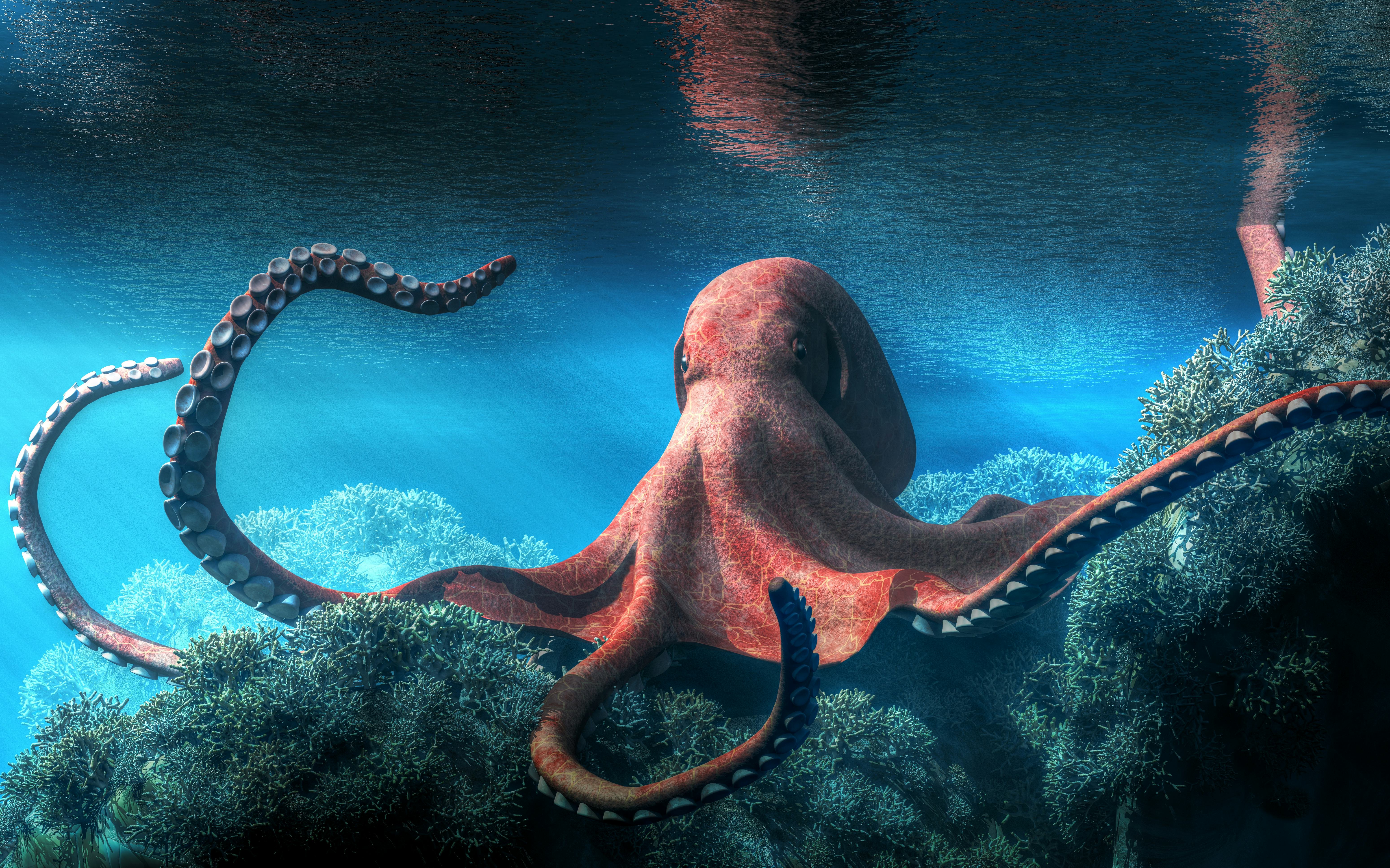 5 ways cephalopods challenge our understanding of evolution