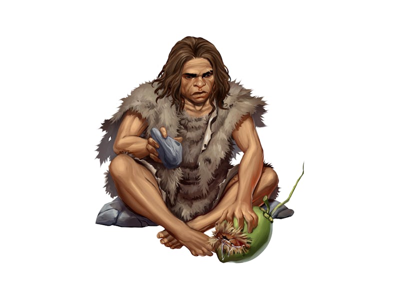 Full Color Realistic Style Illustration of Neanderthal Man Opening Coconut with Stone Tools