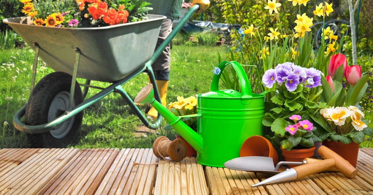 The 14 Best Gardening Tools