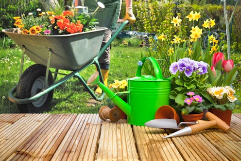 best gardening tools amazon