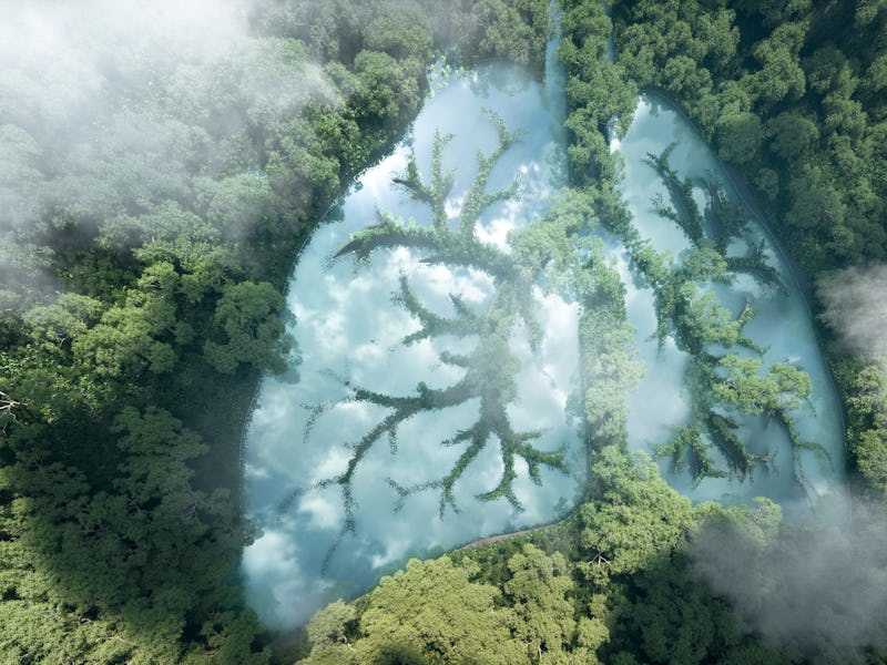 Green lungs of planet Earth. 3d rendering of a clean lake in a shape of lungs in the middle of  virg...