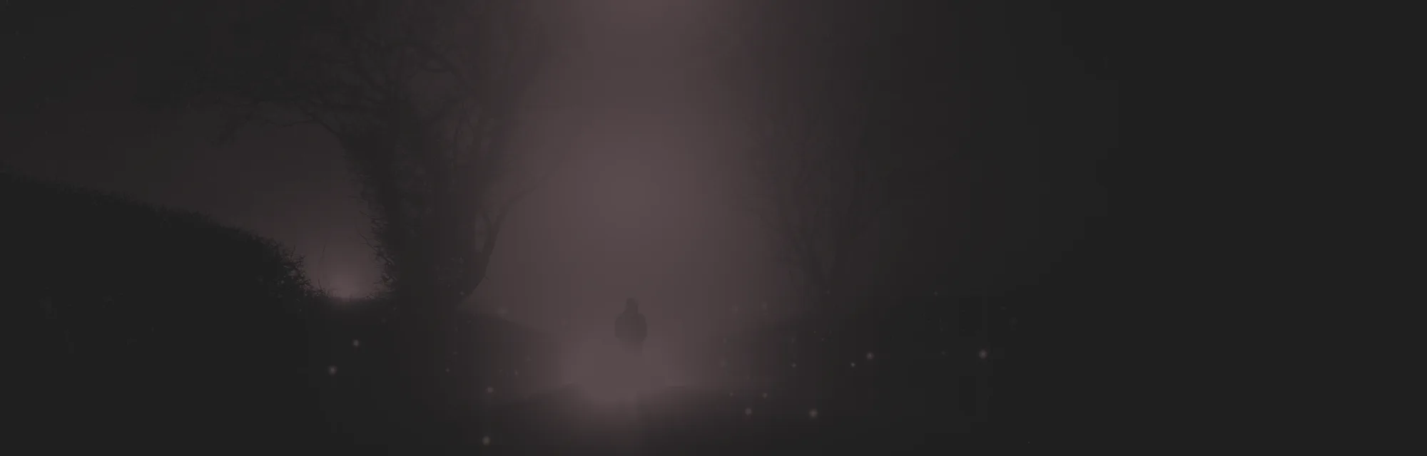 A supernatural, UFO concept of a scary, mysterious hooded figure, standing in front of a bright lights in the sky, on a country lane, on a spooky foggy winters night.