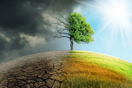 climate change withered earth