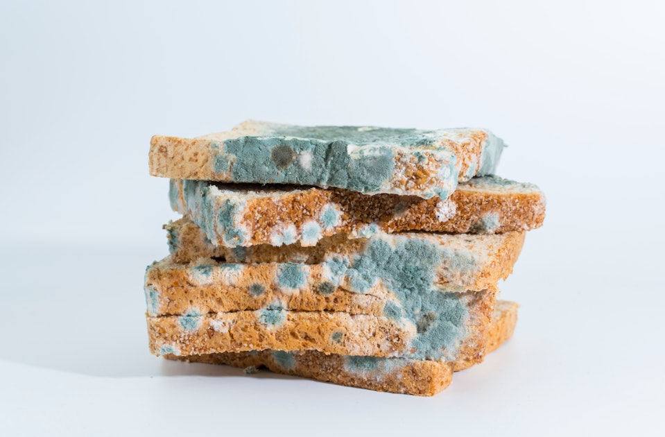 What makes mold edible? A food safety expert breaks it down